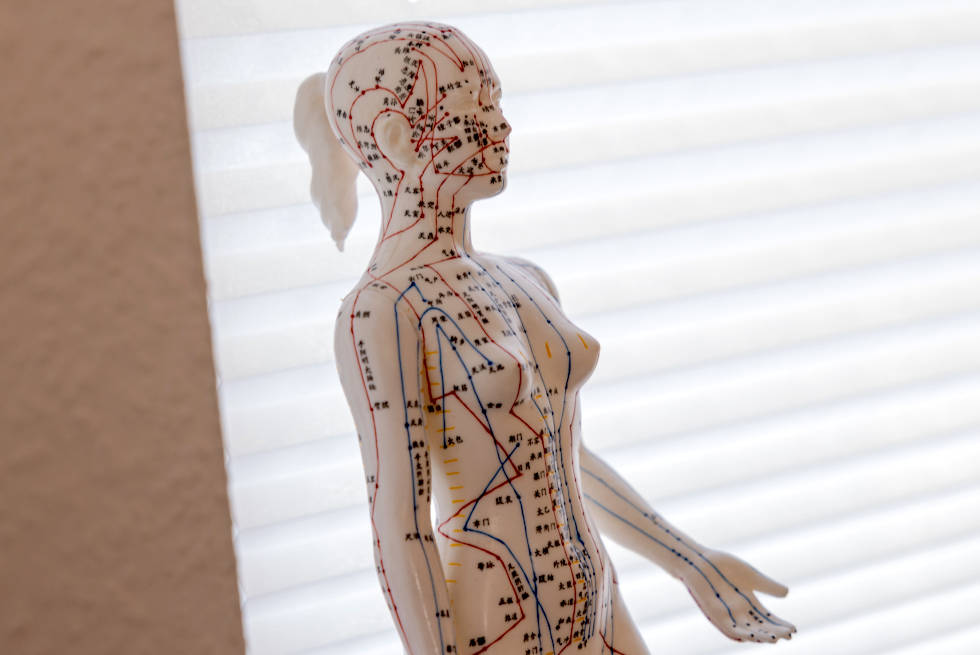 Akupunktur-Puppe – Modell menschlicher Akupunkturpunkte und Meridiane